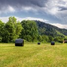 PVC Hayracks